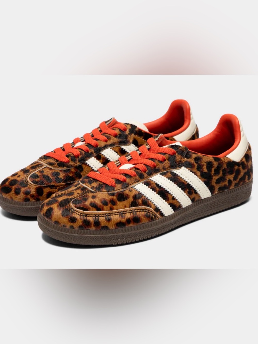 Samba OG leopard women’s